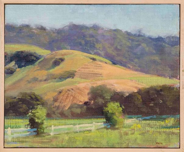 Nicasio Fence by Randall Sexton